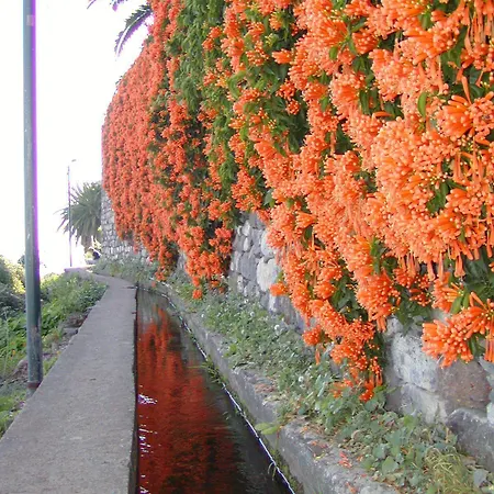 アパートホテル Marta 3*