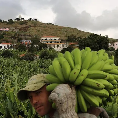 アパートホテル Marta 3*