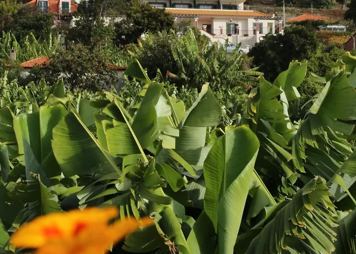 Marta Aparthotel Funchal (Madeira)