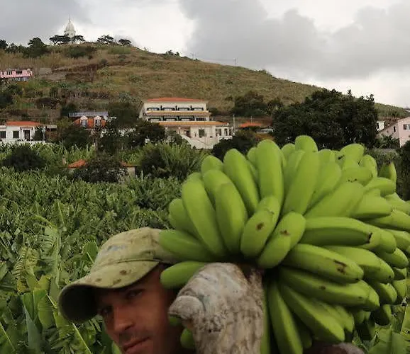 מלון דירות Marta 3*